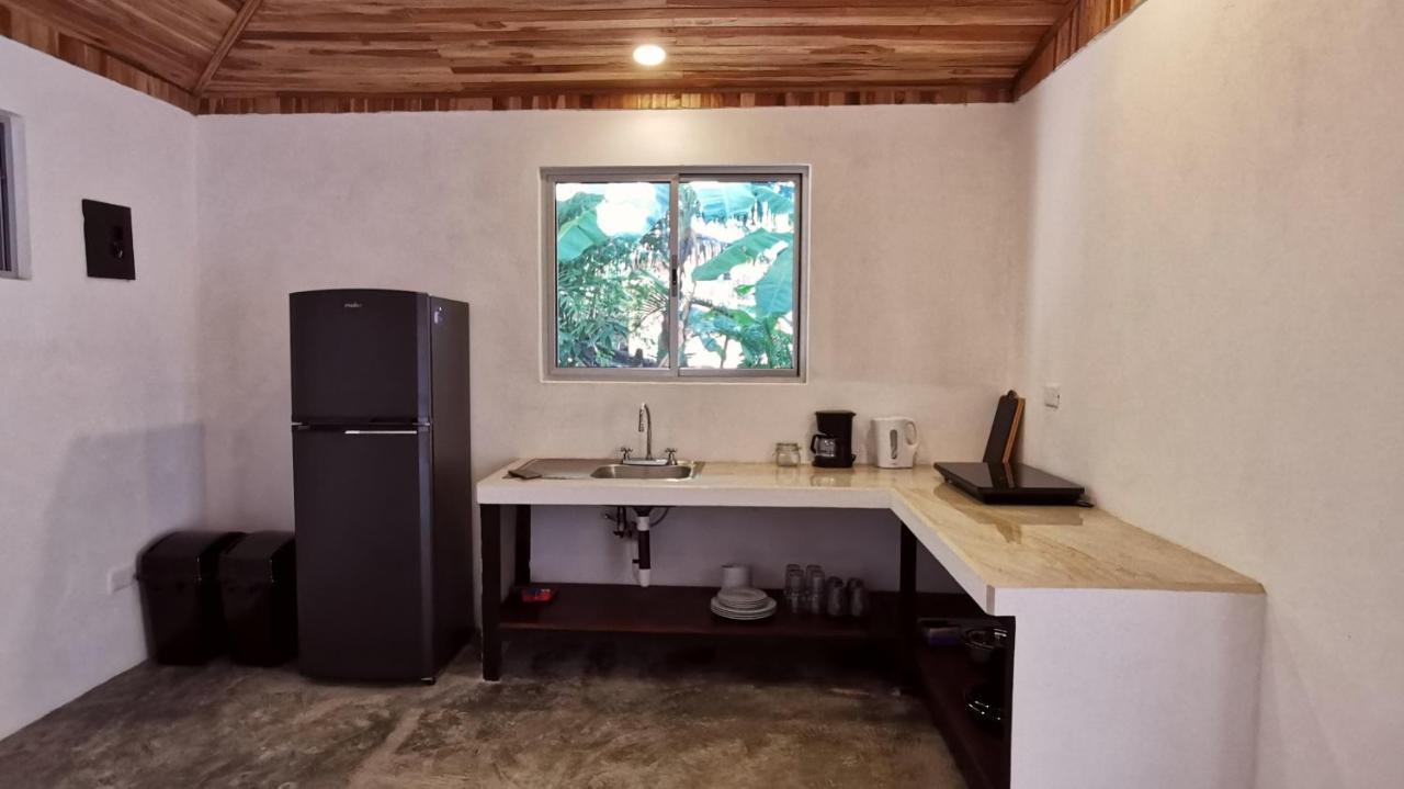 Armadillo Eco Bungalows - Santa Teresa Playa Santa Teresa  Bagian luar foto